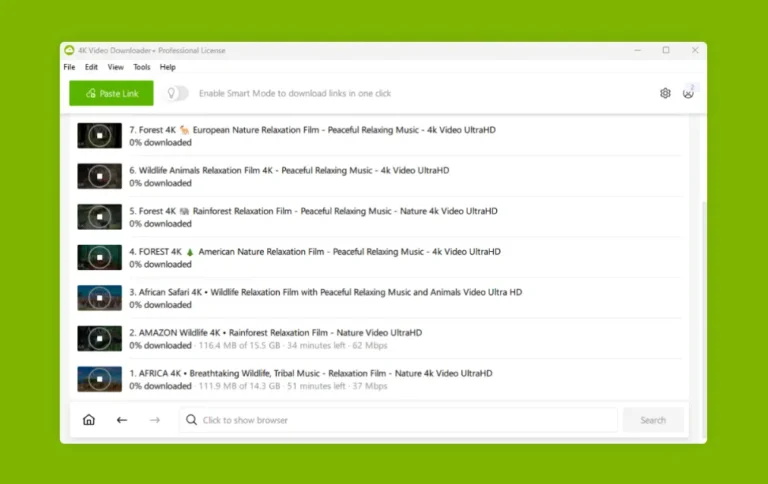 Tela do 4K Video Downloader