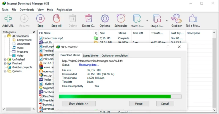 Tela do Internet Download Manager