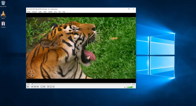 Tela do VLC Media Player Download